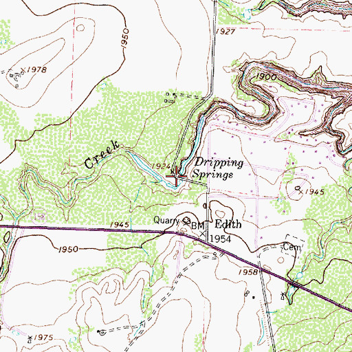 Topographic Map of Dripping Springs, TX