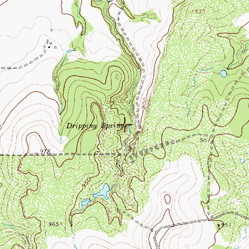 Topographic Map of Dripping Springs, TX