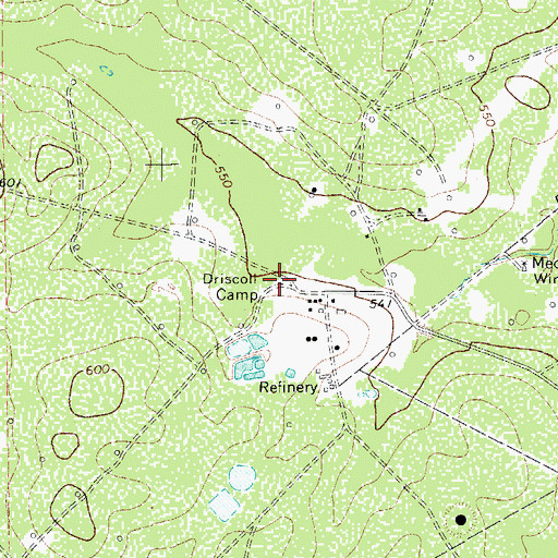 Topographic Map of Driscoll Camp, TX
