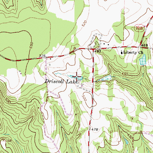 Topographic Map of Driscoll Lake, TX