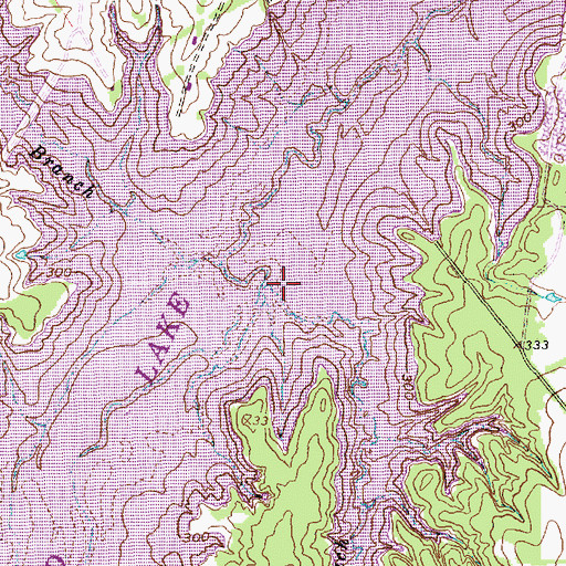Topographic Map of Dry Branch, TX