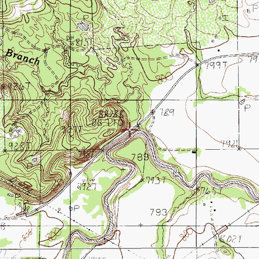 Topographic Map of Dry Branch, TX