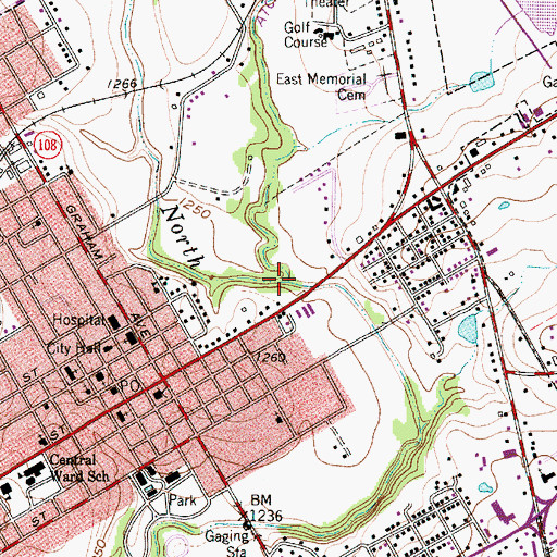 Topographic Map of Dry Branch, TX