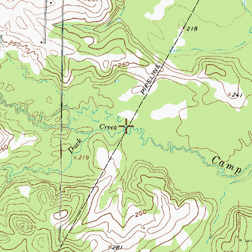 Topographic Map of Duck Creek, TX