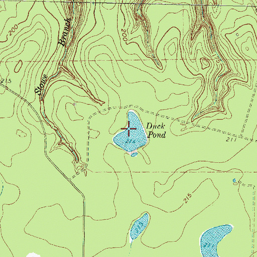 Topographic Map of Duck Pond, TX