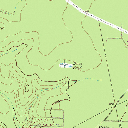 Topographic Map of Duck Pond, TX