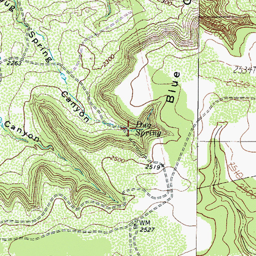Topographic Map of Dug Spring, TX