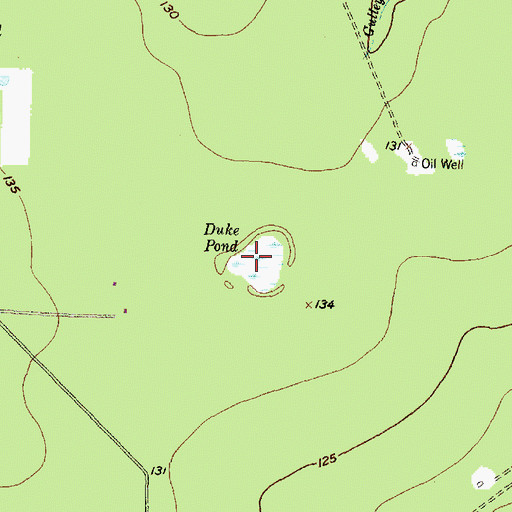 Topographic Map of Duke Pond, TX