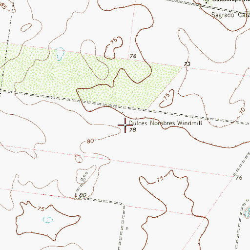 Topographic Map of Dulces Nombres Windmill, TX