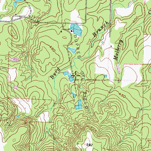 Topographic Map of Dupree Oil Field, TX