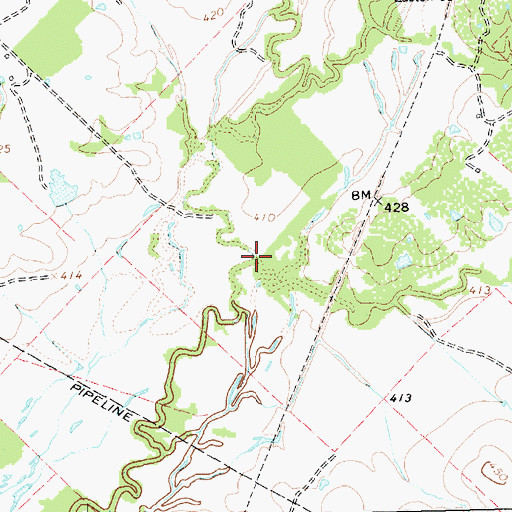 Topographic Map of Eagans Branch, TX