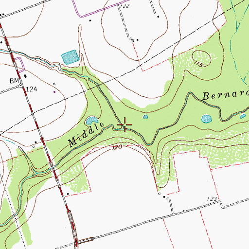 Topographic Map of Eagle Branch, TX