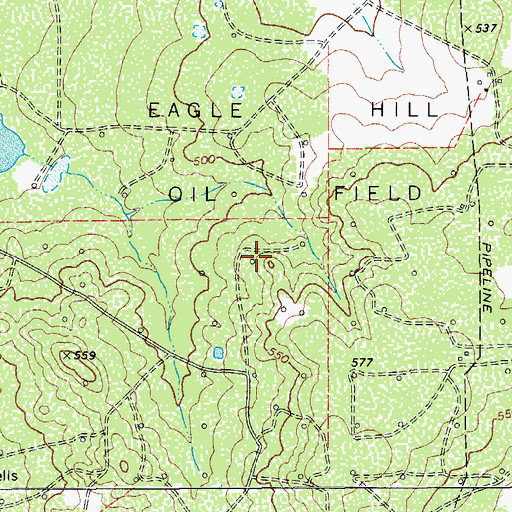 Topographic Map of Eagle Hill Oil Field, TX