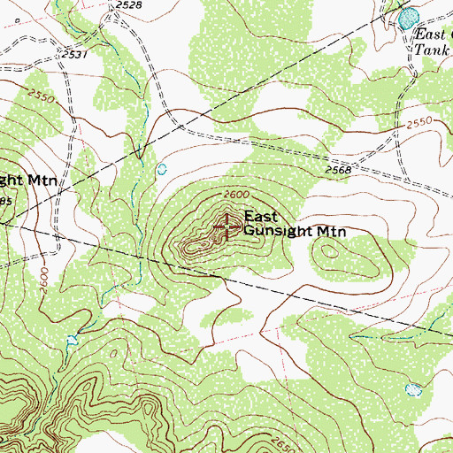 Topographic Map of East Gunsight Mountain, TX