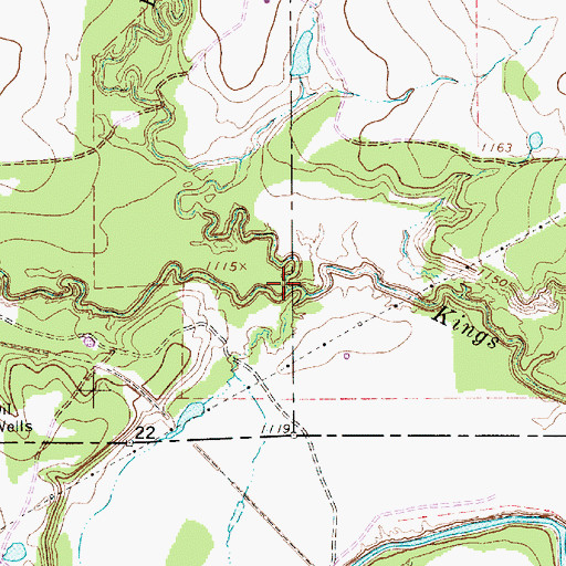 Topographic Map of East Kings Creek, TX