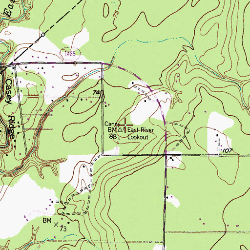 Topographic Map of East River Lookout, TX