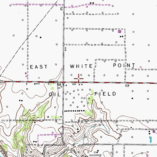 Topographic Map of East White Point Oil Field, TX
