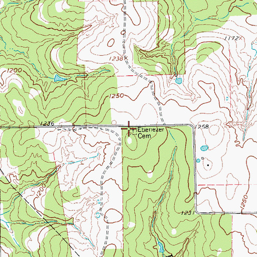 Topographic Map of Ebenezer Cemetery, TX