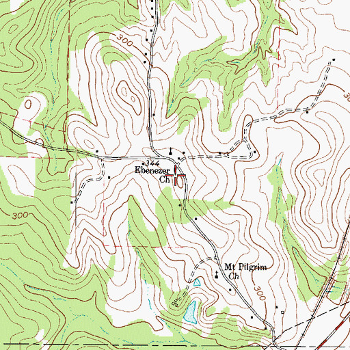 Topographic Map of Ebenezer Church, TX