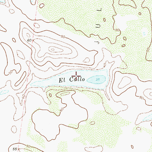 Topographic Map of El Callo, TX