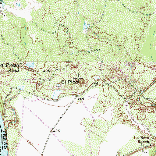 Topographic Map of El Pico, TX