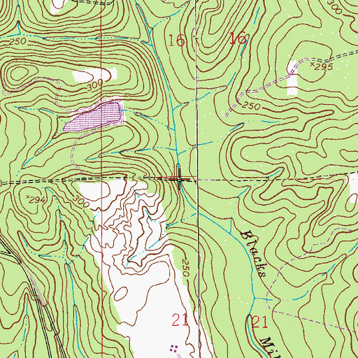 Topographic Map of Parish Bridge, AL