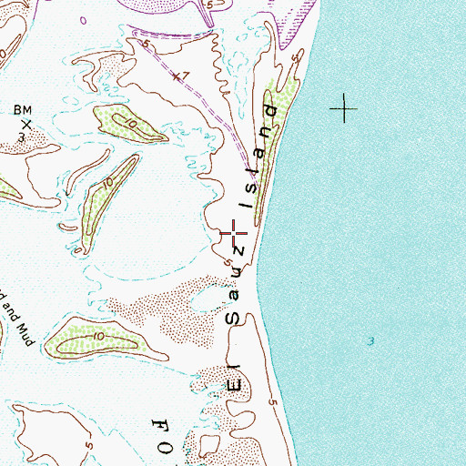 Topographic Map of El Sauz Island, TX
