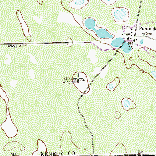 Topographic Map of El Sauz Windmill, TX