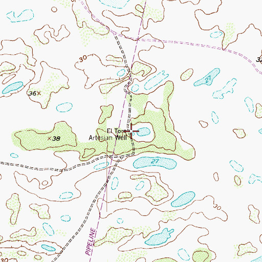 Topographic Map of El Toro Artesian Well, TX