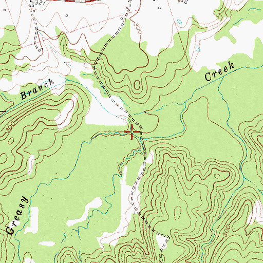 Topographic Map of Ellison Branch, TX
