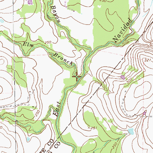 Topographic Map of Elm Branch, TX