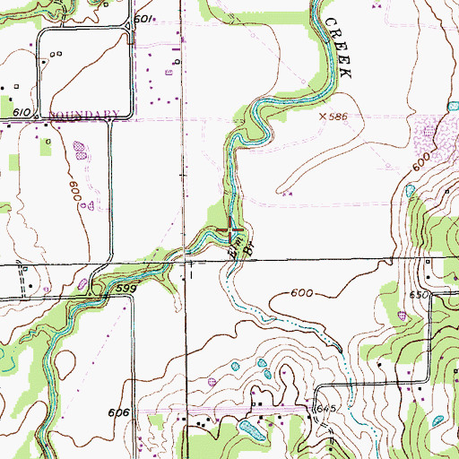Topographic Map of Elm Branch, TX