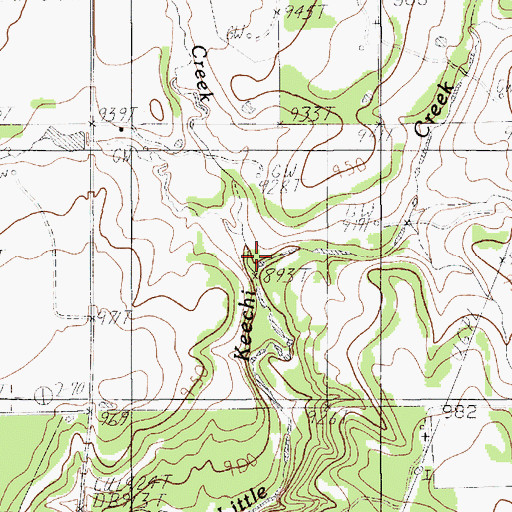 Topographic Map of Elm Creek, TX