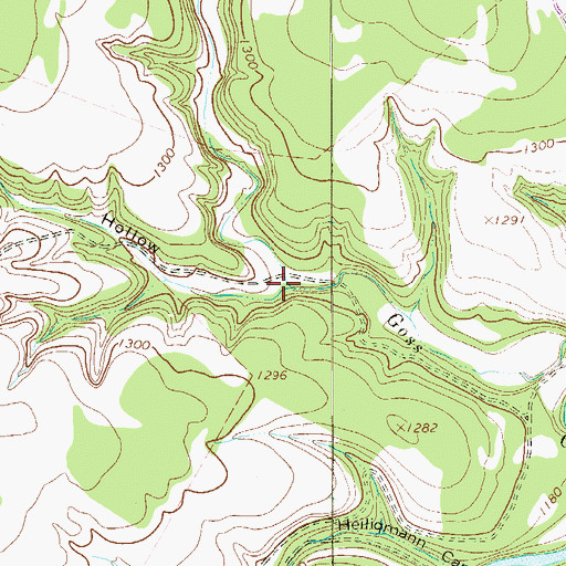 Topographic Map of Elm Hollow, TX
