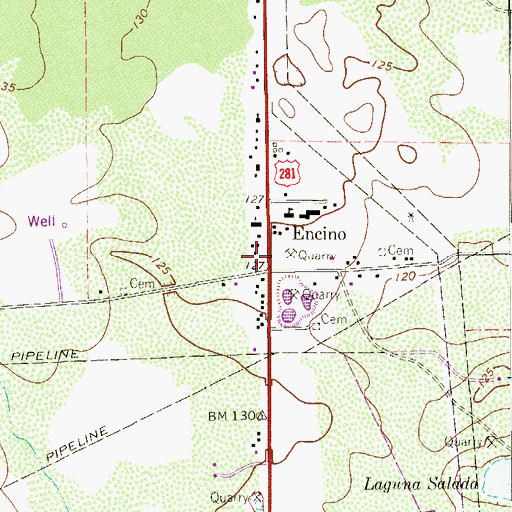 Topographic Map of Encino, TX