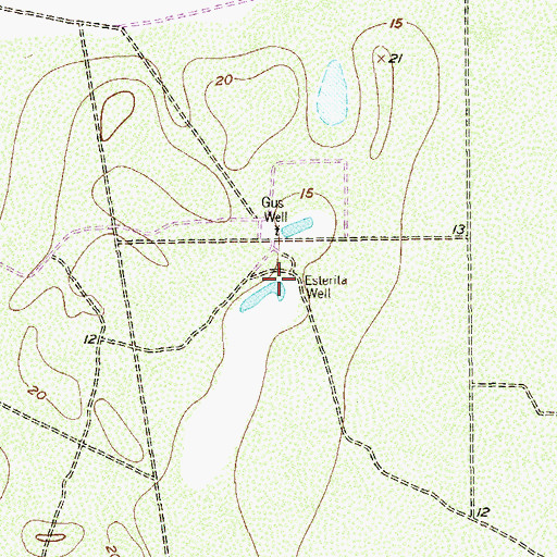 Topographic Map of Esterita Well, TX