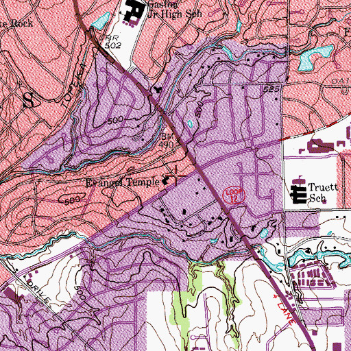 Topographic Map of Evangel Temple, TX