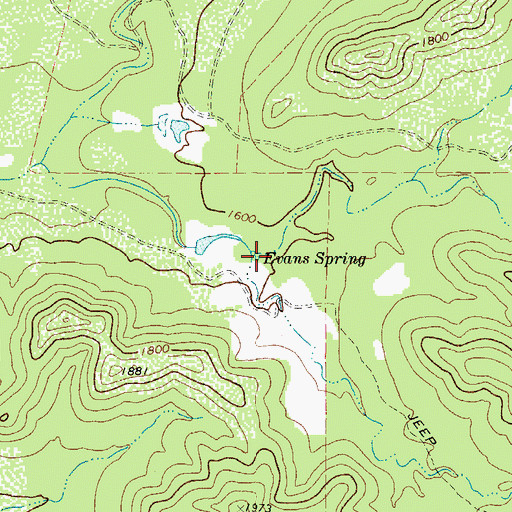 Topographic Map of Evans Spring, TX