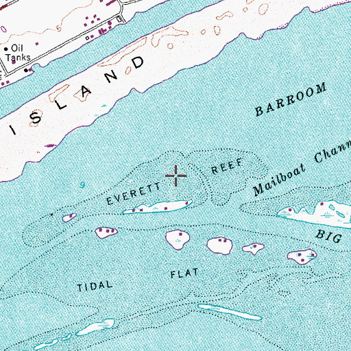 Topographic Map of Everett Reef, TX