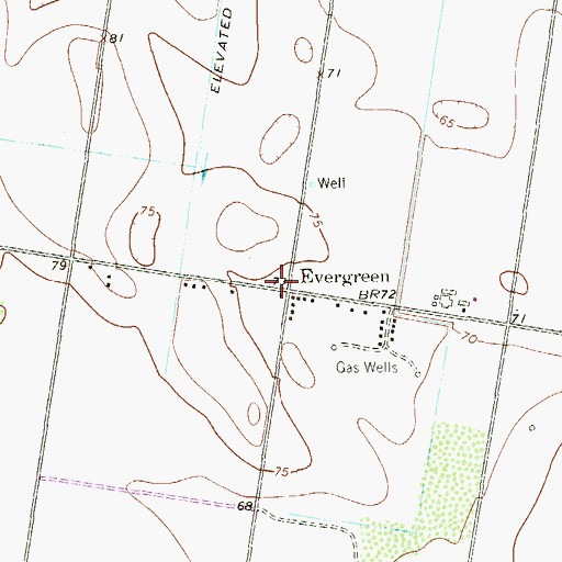 Topographic Map of Evergreen, TX