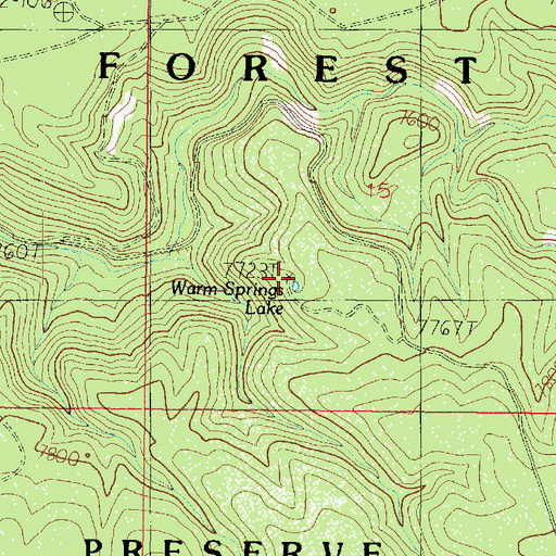 Topographic Map of Warm Springs Lake, AZ
