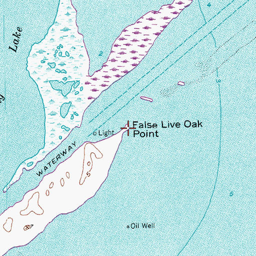Topographic Map of False Live Oak Point, TX