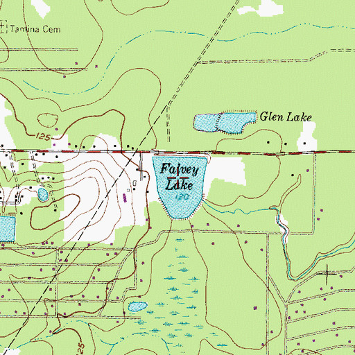 Topographic Map of Falvey Lake, TX