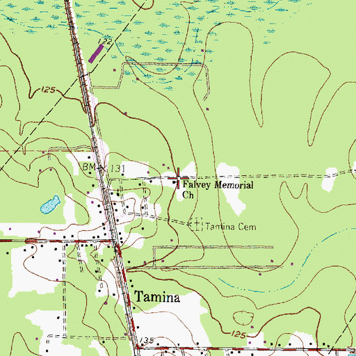 Topographic Map of Falvey Memorial Church, TX