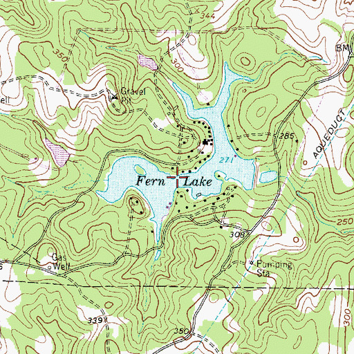 Topographic Map of Fern Lake, TX