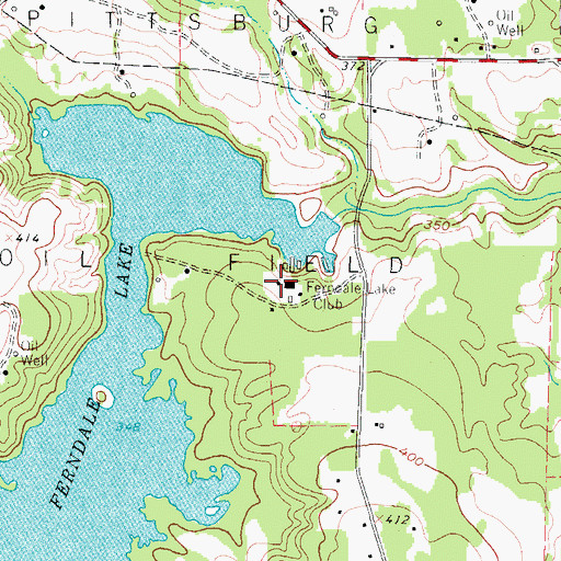 Topographic Map of Ferndale Lake Club, TX