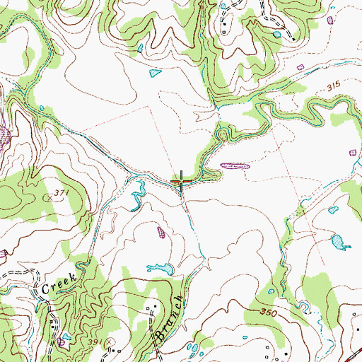 Topographic Map of Field Branch, TX