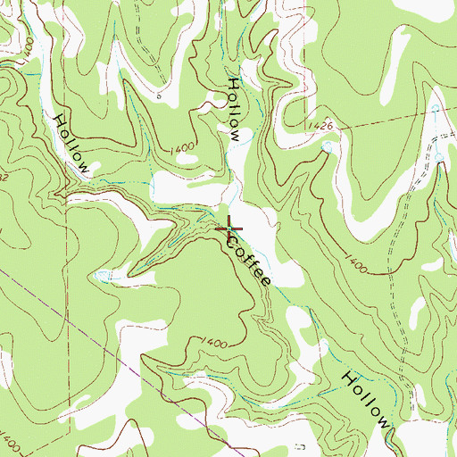 Topographic Map of First Coffee Hollow, TX