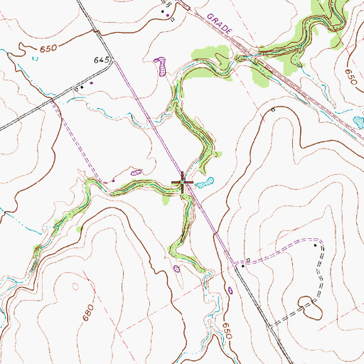 Topographic Map of Fish Spring Branch, TX