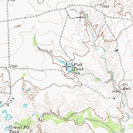 Topographic Map of Fish Tank, TX